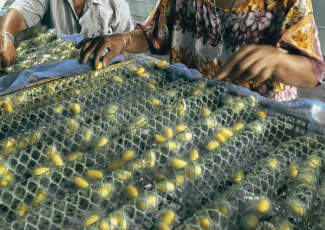 socoon ไหม ผ้าไหม the gallery-1