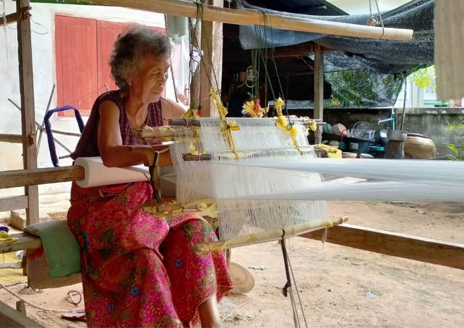 ชุมชนดีมีรอยยิ้มเมืองกาฬสินธุ์ ไดโนเสาร์ the gallery