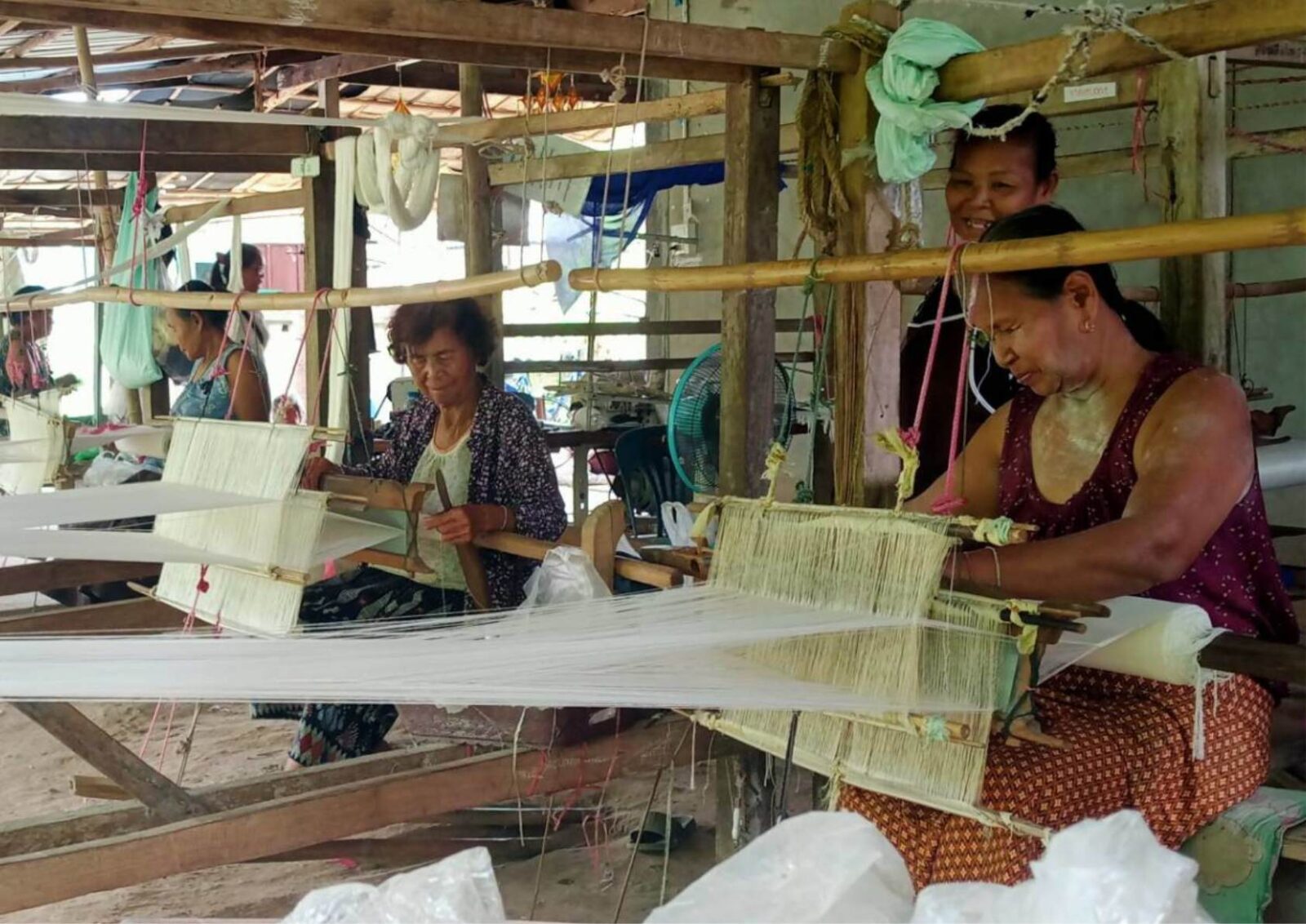 ชุมชนดีมีรอยยิ้มเมืองกาฬสินธุ์ ไดโนเสาร์ the gallery